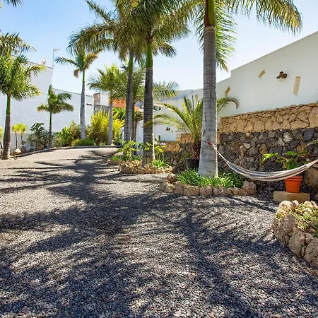 Palmeras 2 Güimar