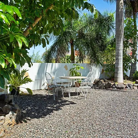 Palmeras 2